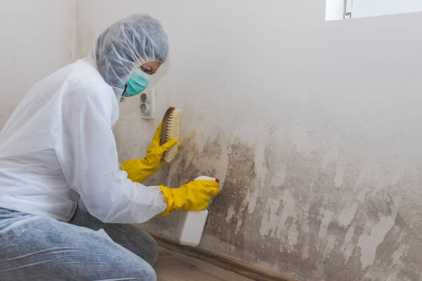 Mold Documentation for Insurance Claims in June Park, FL
